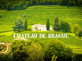 Chateau De Brague Business News Japan (1)