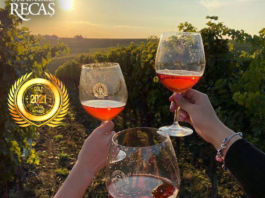 CRAMELE RECAS SA : Highest Quality Romanian Wines by Business News Japan