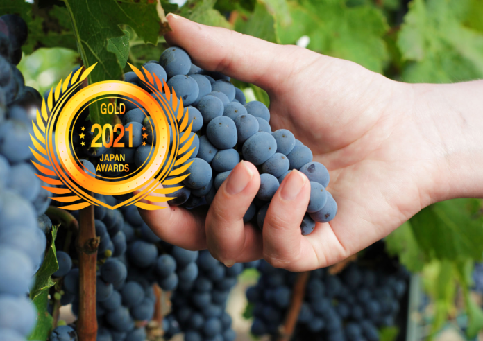 Nobel Chile SpA : Outstanding Wines with Exceptional Terroirs by Business News Japan