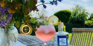 Crafted to Perfection: Sky Wave Gin Shines Bright in the Japanese Beverage Market