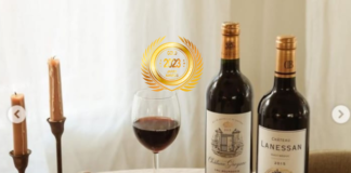From Bordeaux to Japan: Domaines Rollan de By - Jean Guyon's Award-Winning Journey
